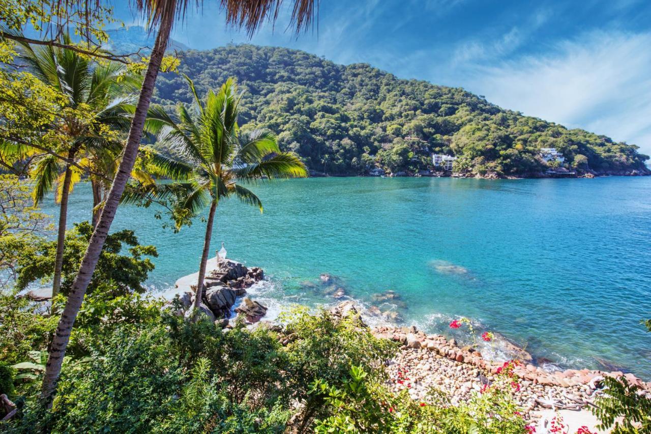 Villa Lala Boutique Hotel Adults Only Puerto Vallarta Dış mekan fotoğraf